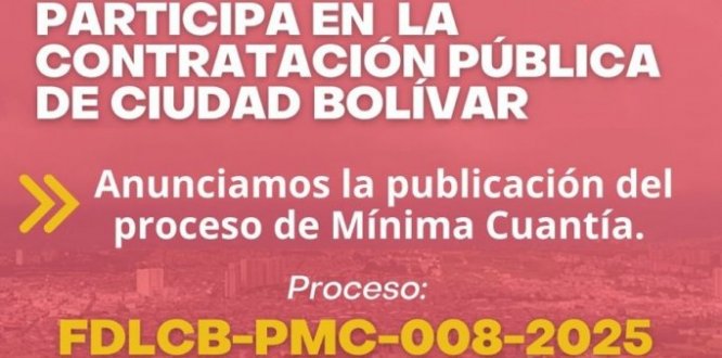 proceso mínima cuantía