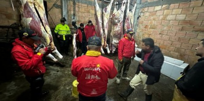 operativo cárnico