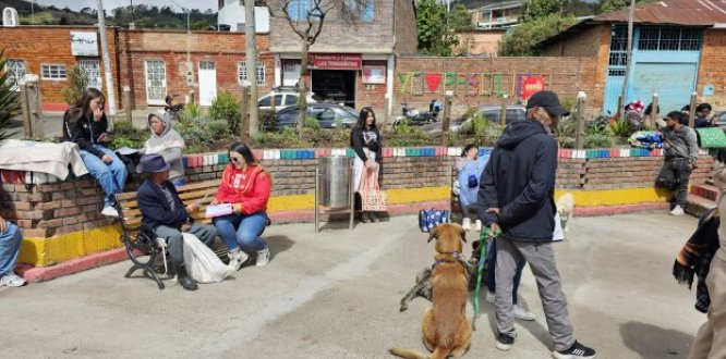 jornada de esterilización