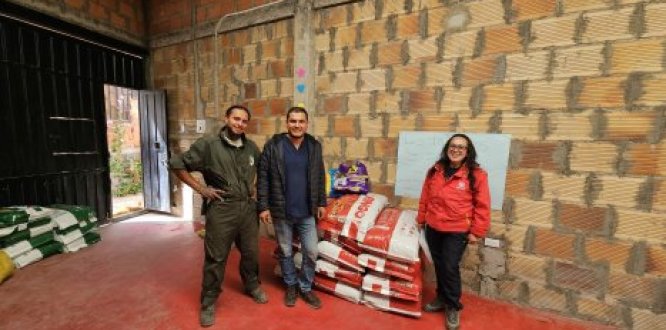 donación alimento donación alimento