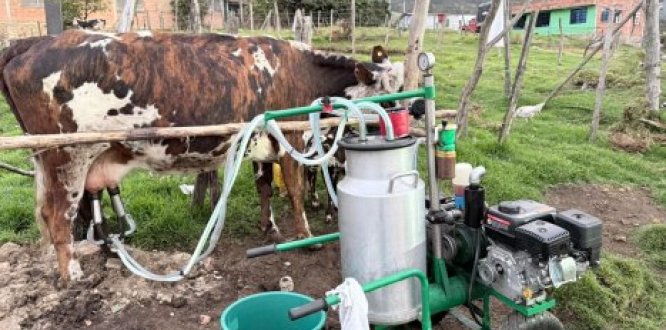 unidades productivas