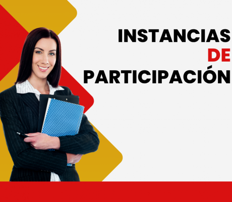 INSTANCIAS DE PARTICIPACIÓN