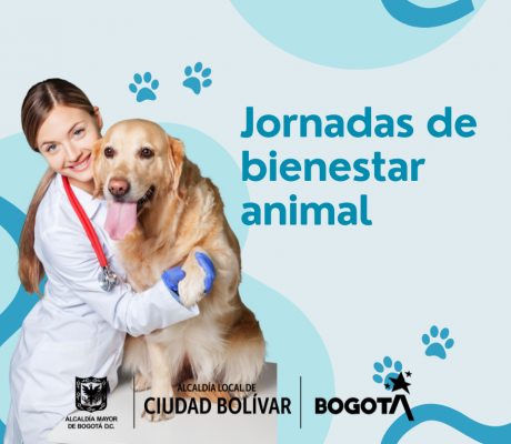 Bineestar animal