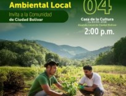 Comisión ambiental