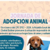 jornada de adopcion