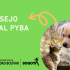 consejo pyba