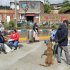 jornada de esterilización