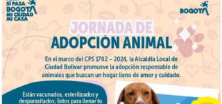 jornada de adopcion