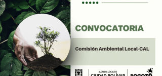 comisión ambiental local