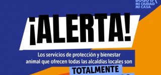 esterilizaciones gratuitas