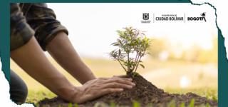 plan Ambiental local