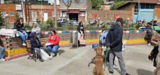 jornada de esterilización